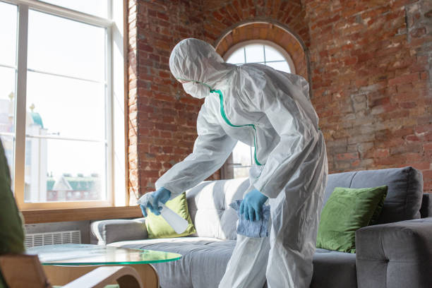 Why You Should Choose Our Mold Remediation Services in Del Aire, CA